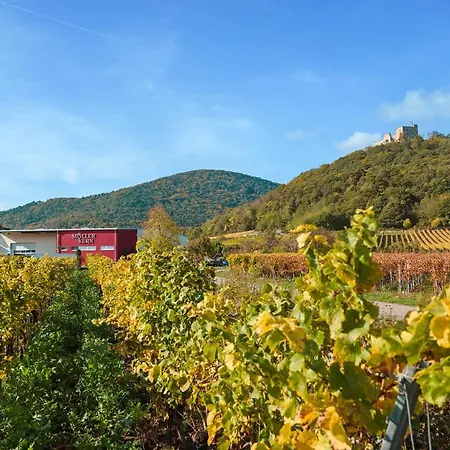 Weingut & Mueller-kern 公寓 Neustadt an der Weinstraße