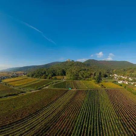 Apartamento Weingut & Mueller-kern