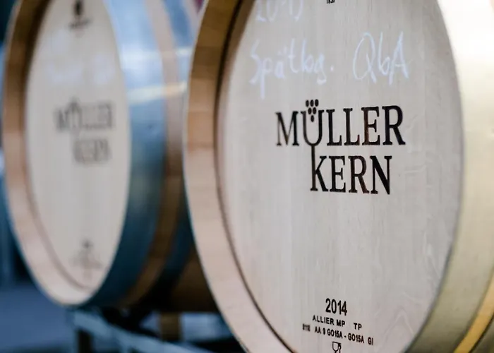 Apartamento Weingut & Mueller-kern Neustadt an der Weinstraße