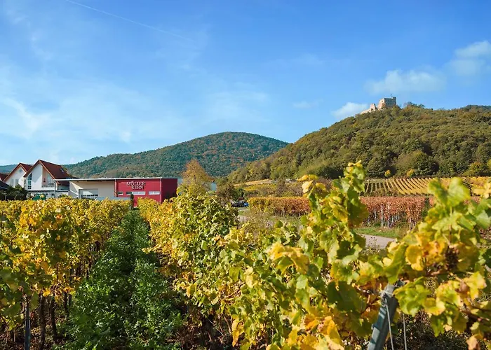 Weingut & Mueller-kern 公寓 Neustadt an der Weinstraße