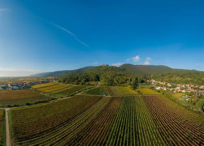 Apartamento Weingut & Mueller-kern