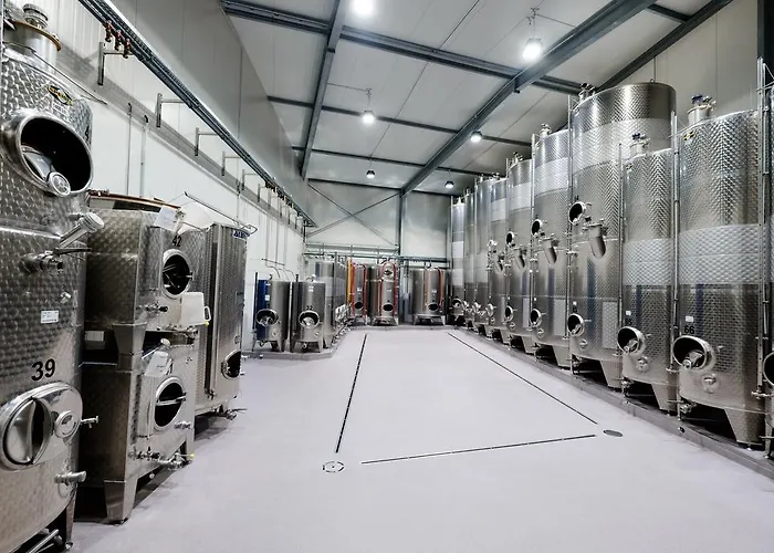 公寓 Weingut & Mueller-kern Neustadt an der Weinstraße